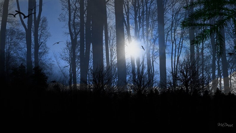 Silhouetted Birds in Forest — Blue, Dramatic
