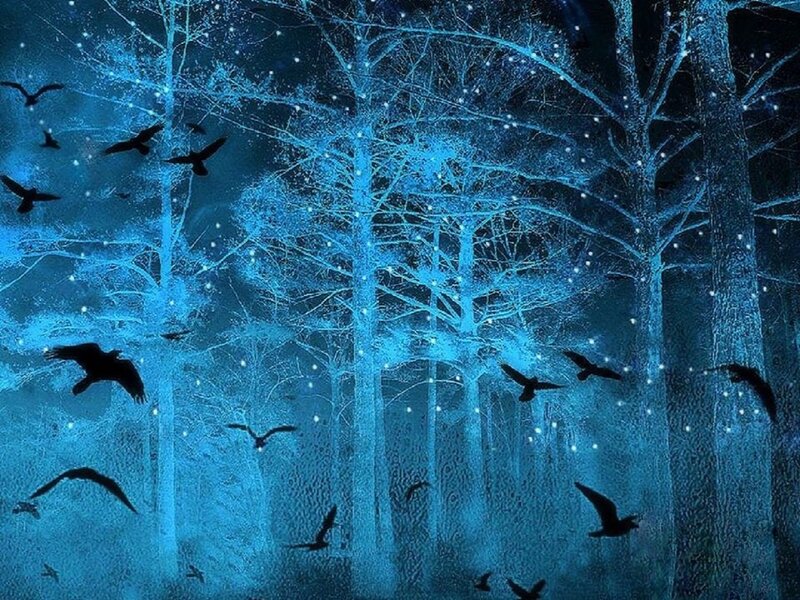 Silhouetted Birds in Forest — Blue