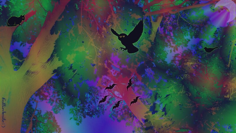 Silhouetted Birds in Forest — Green