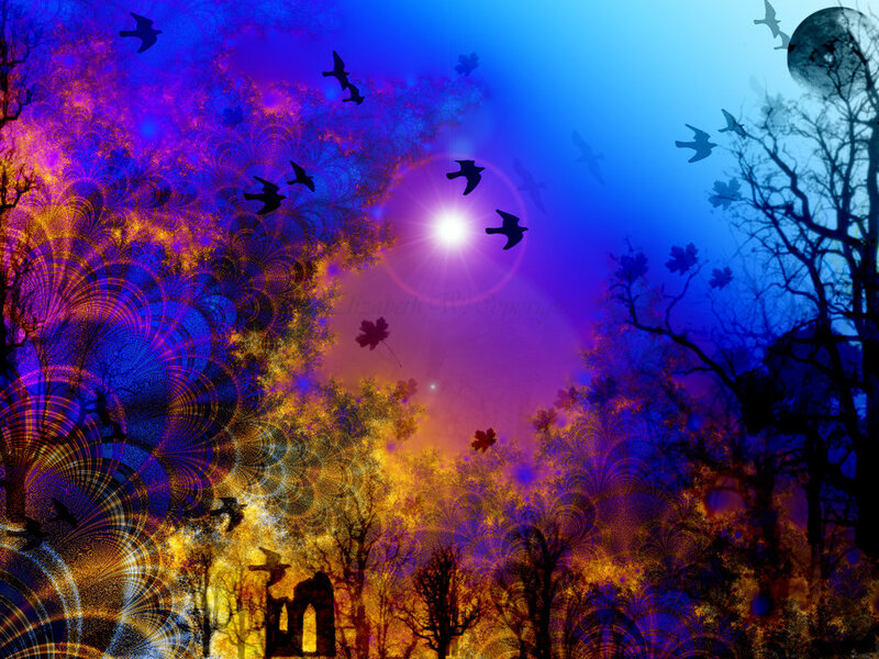 Silhouetted Birds in Forest