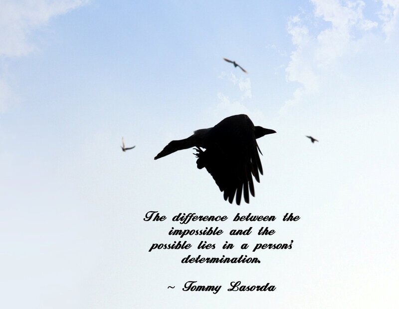 Silhouetted Birds in Sky — Blue