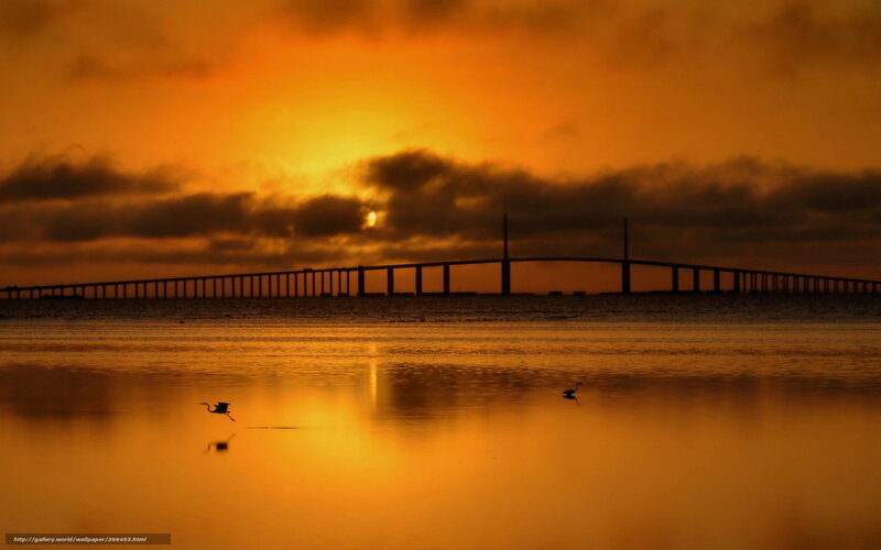 Silhouetted Birds on Water — Orange, Dramatic, Sunset, Photograph, Bridge