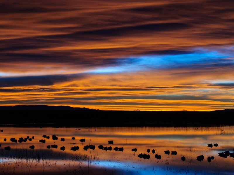 Silhouetted Birds on Water — Orange, Dramatic, Sunset, Photograph, Sky, Clouds, Mountains
