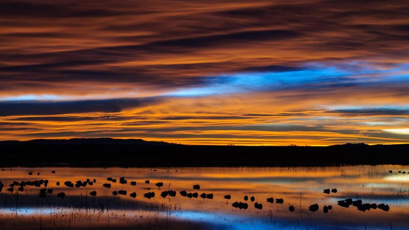 Silhouetted Birds on Water — Orange, Dramatic, Sunset, Photograph, Sky, Clouds