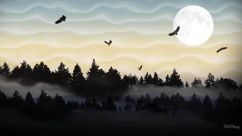 Silhouetted Birds over Forest