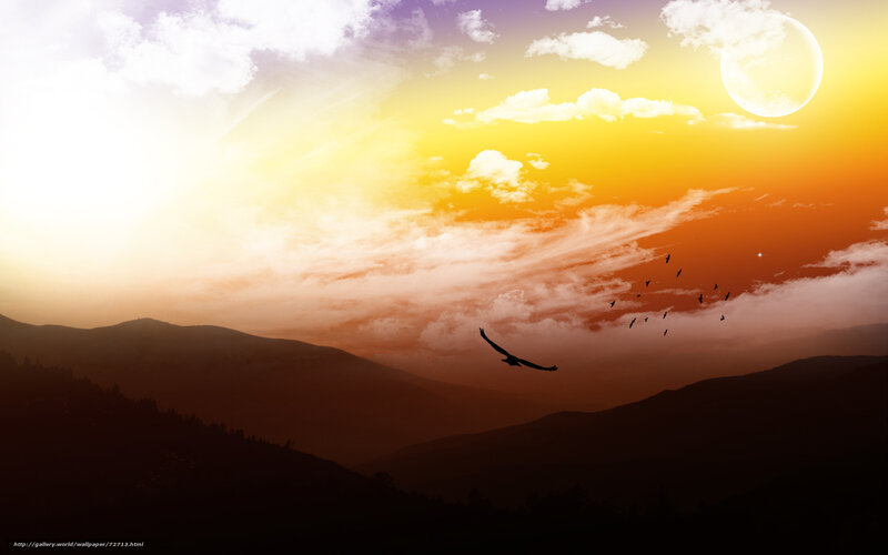Silhouetted Birds over Mountains — Orange