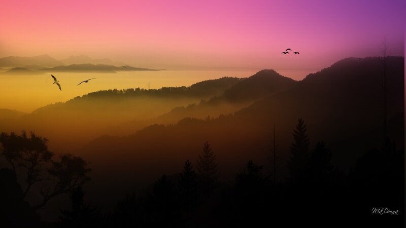 Silhouetted Birds over Mountains