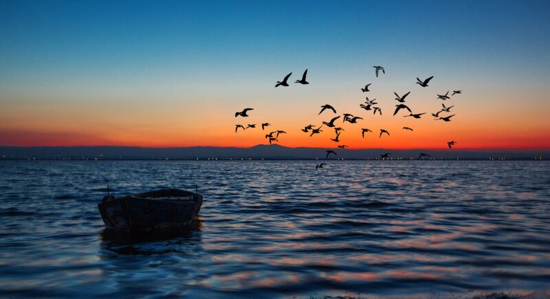Silhouetted Birds over Water — Blue