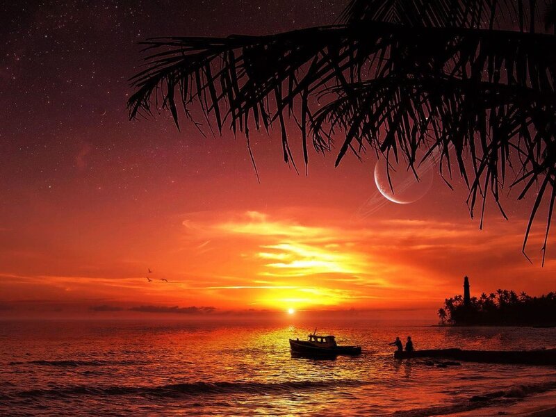 Silhouetted Boat at Sunset — Orange, Serene, Photograph, Palm Fronds