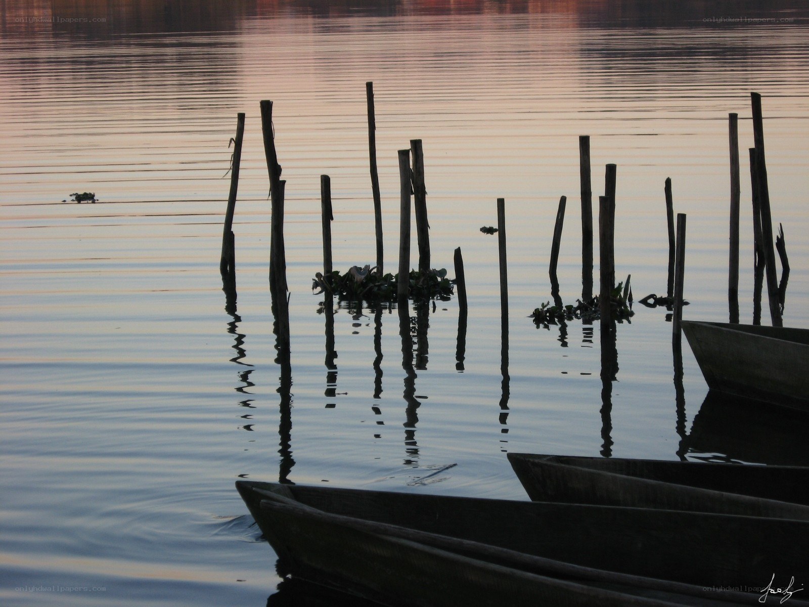 silhouetted boats at dusk