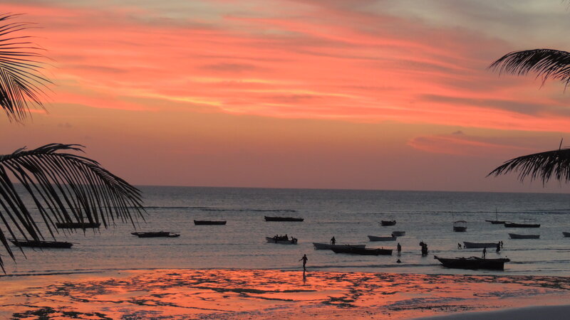 Silhouetted Boats at Sunset — Orange, Serene, Photograph, Palm Trees