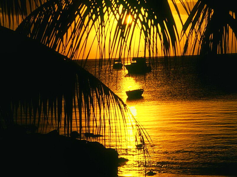 Silhouetted Boats at Sunset — Yellow, Serene