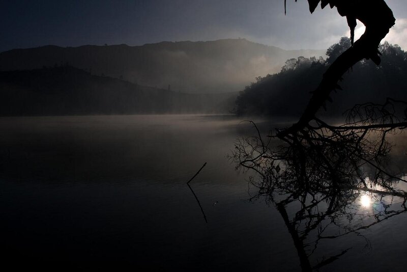 Silhouetted Branch over Lake
