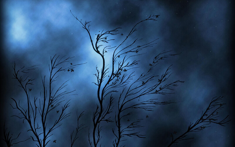 Silhouetted branches at night