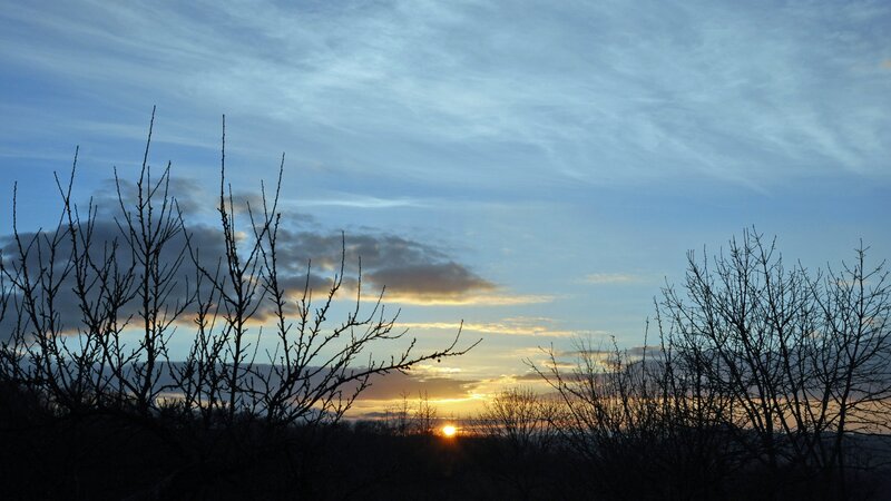 Silhouetted Branches at Sunset — Blue, Serene
