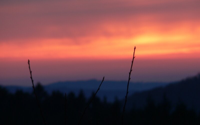 Silhouetted Branches at Sunset — Orange, Serene, Photograph, Mountains