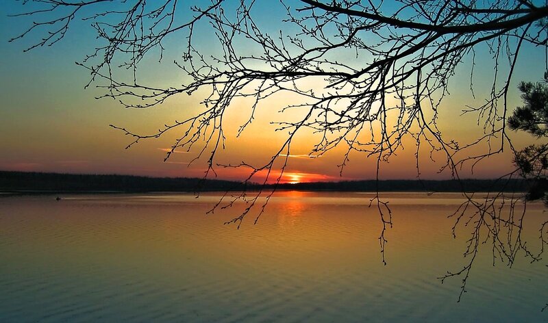Silhouetted Branches over Lake — Orange