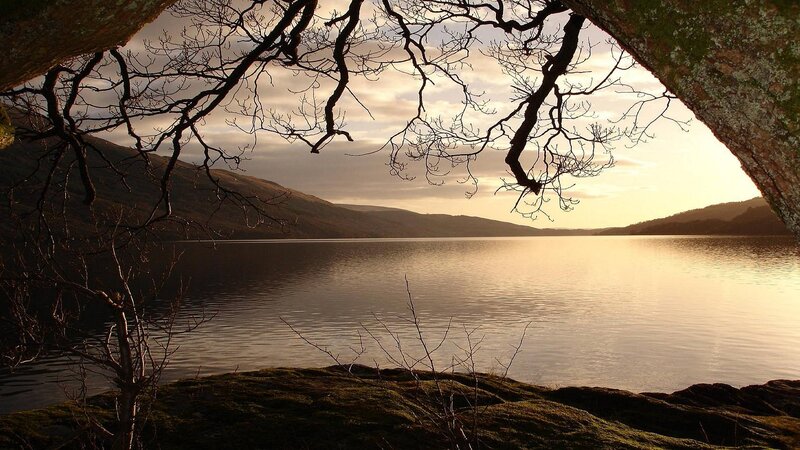 Silhouetted Branches over Lake
