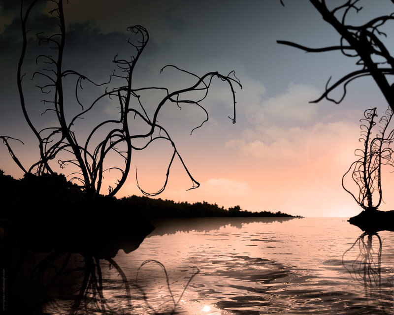 Silhouetted Branches over Water
