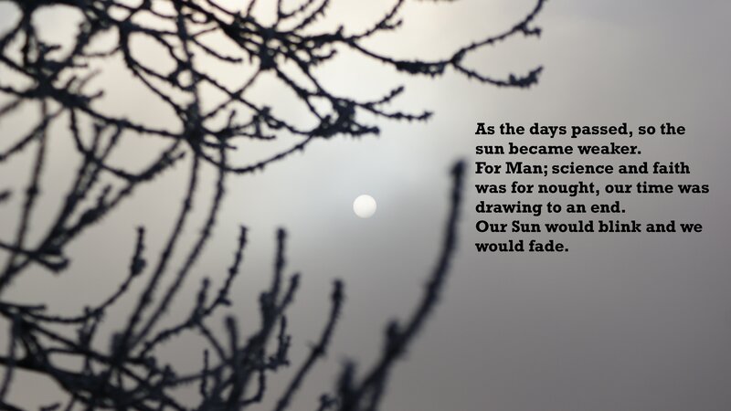 Silhouetted Branches