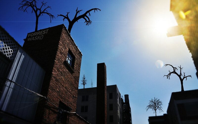 Silhouetted buildings with bare trees
