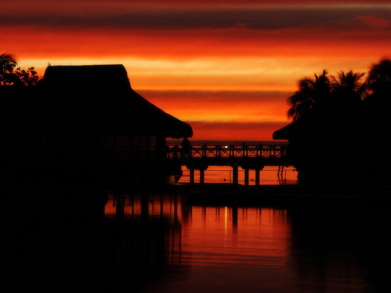 Silhouetted Bungalows — Orange