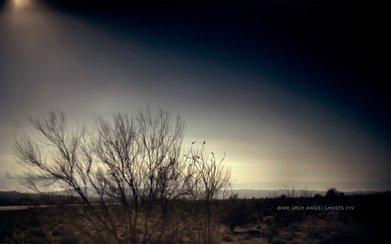 Silhouetted Bush in Desert