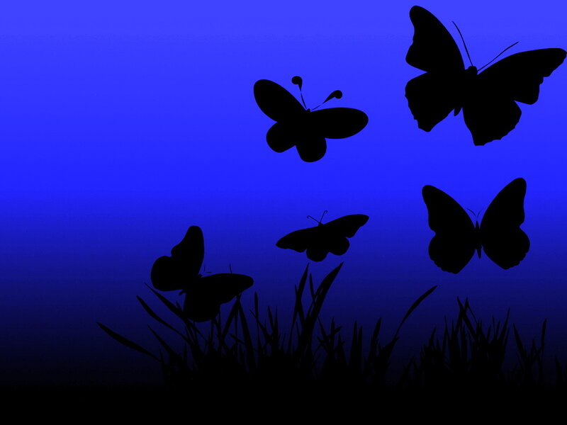 Silhouetted Butterflies