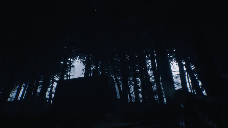 Silhouetted Cabin in Forest