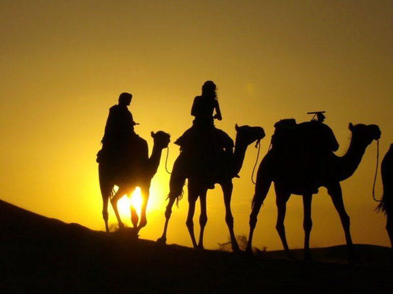 Silhouetted Camels and Riders