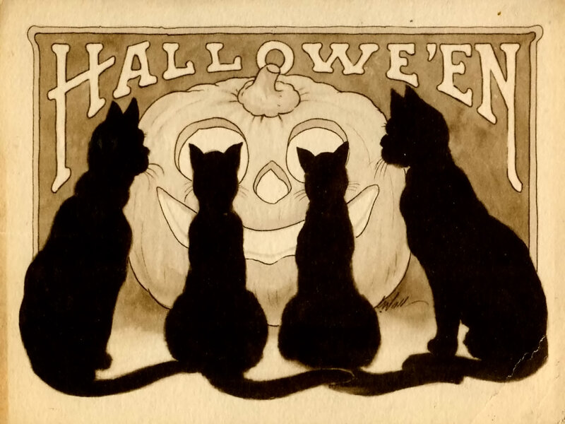 Silhouetted Cats and Pumpkin