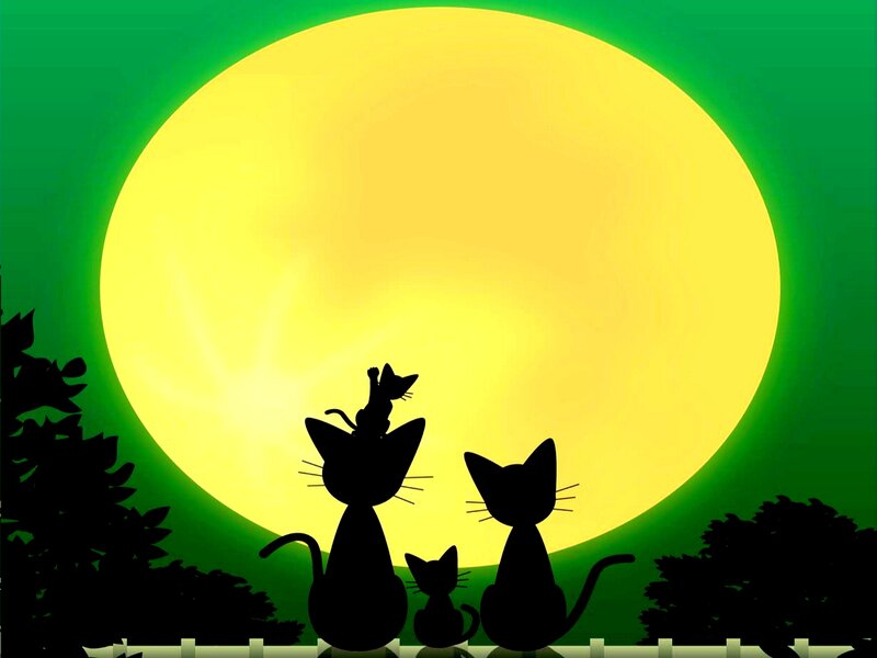 Silhouetted Cats Family
