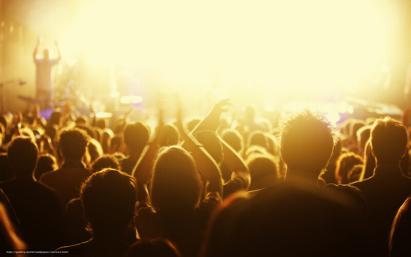 Silhouetted Concert Crowd