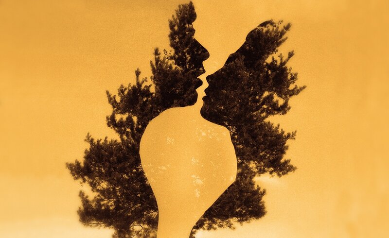 Silhouetted Couple Kissing — Yellow