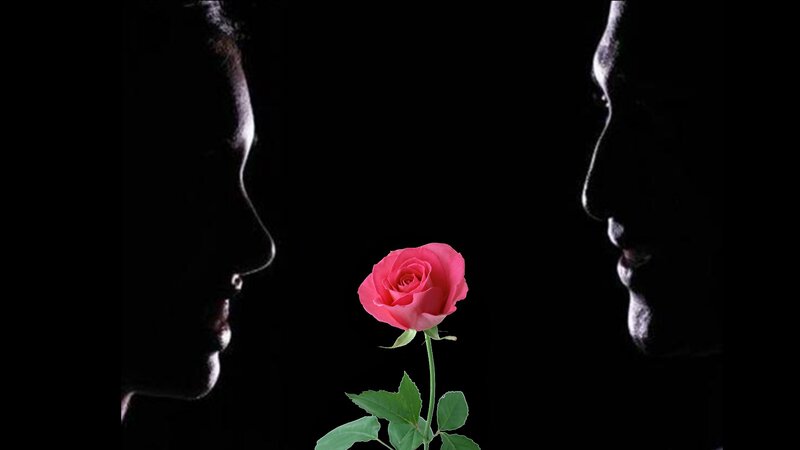 Silhouetted Couple with Rose