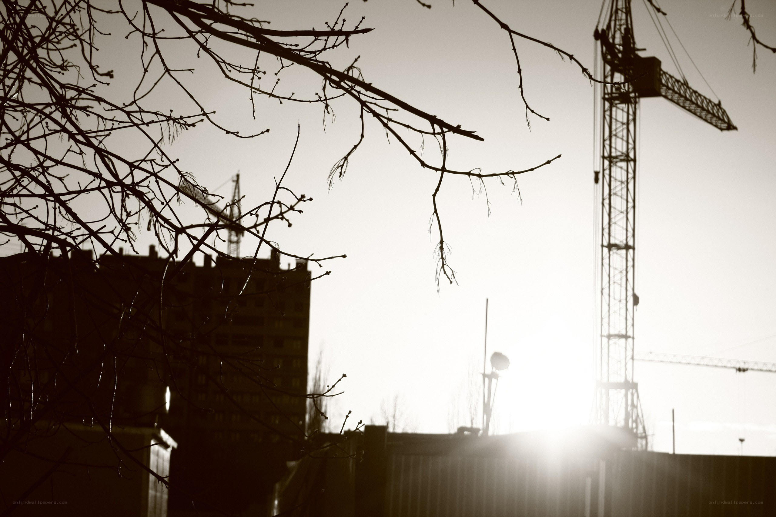 Silhouetted cranes at construction site