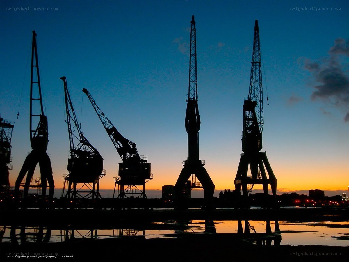 Silhouetted cranes at dusk
