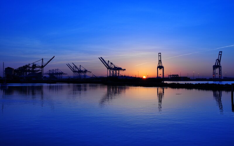 Silhouetted Cranes at Sunset — Blue