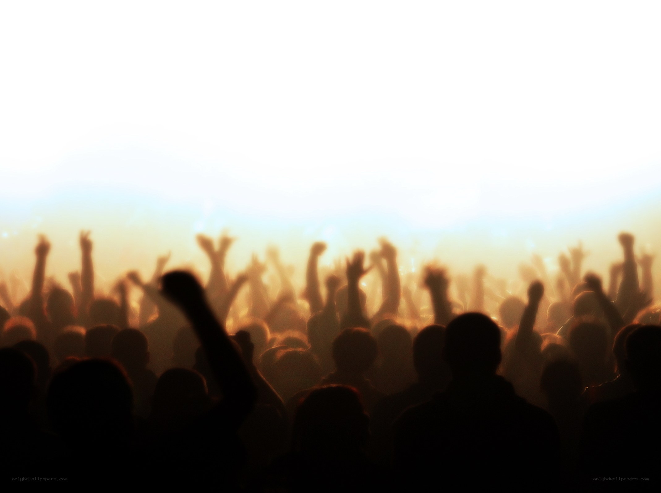 silhouetted crowd at concert