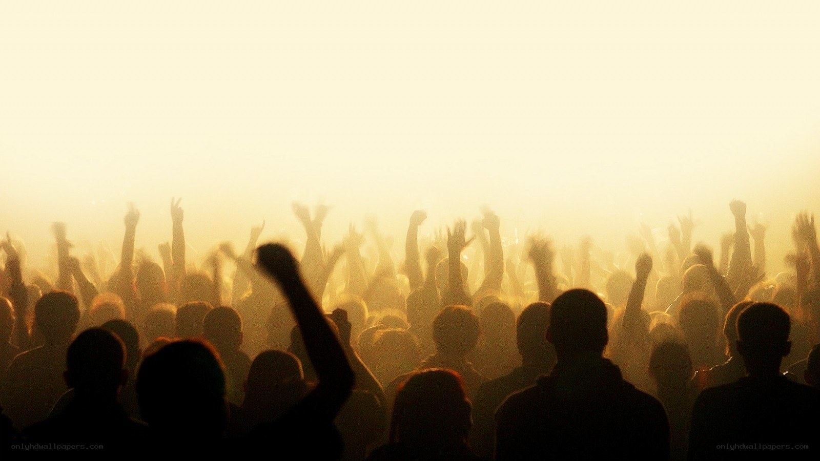silhouetted crowd at concert