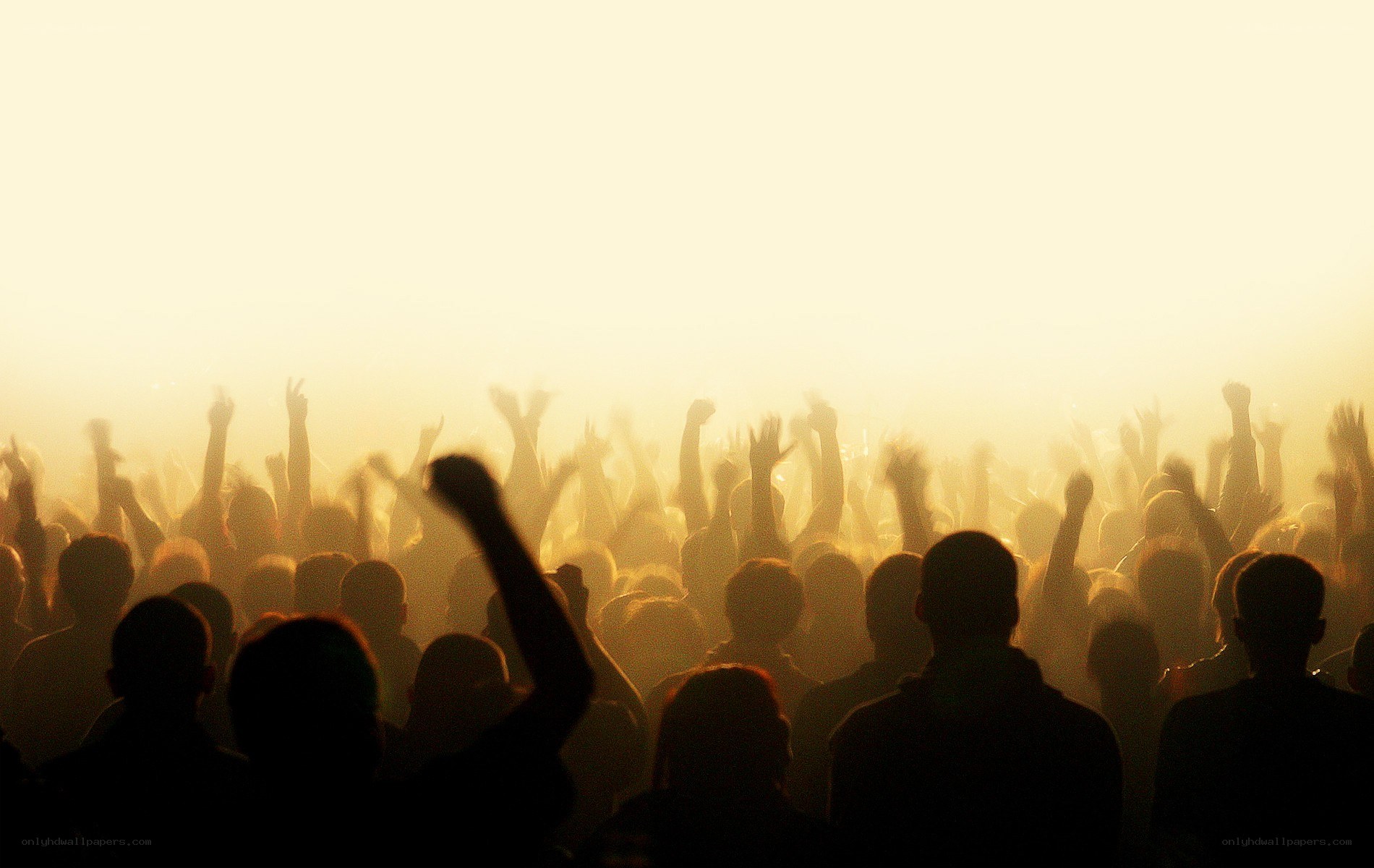 silhouetted crowd at concert