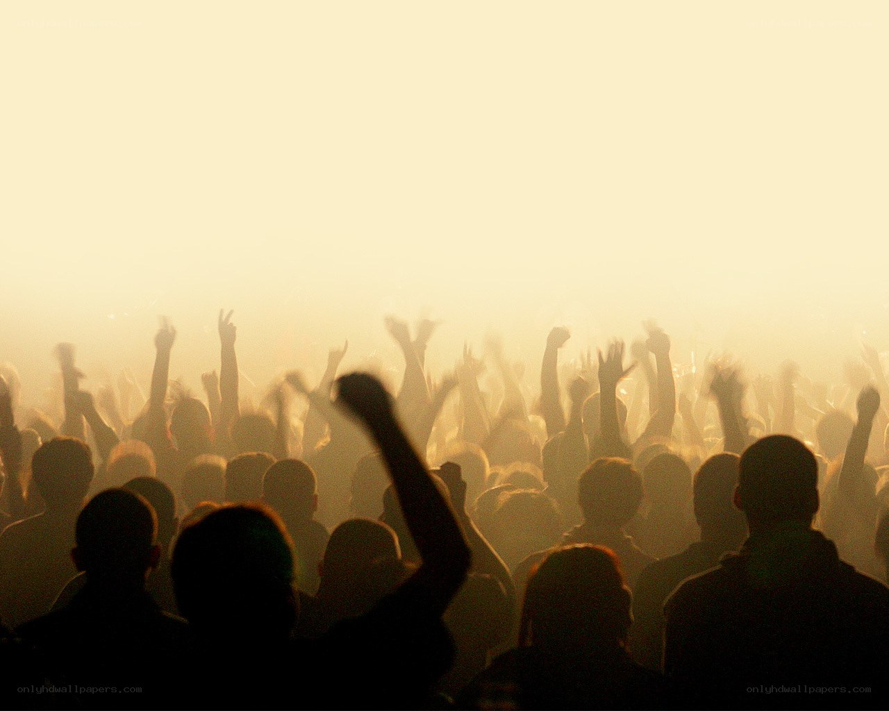 Silhouetted crowd at concert