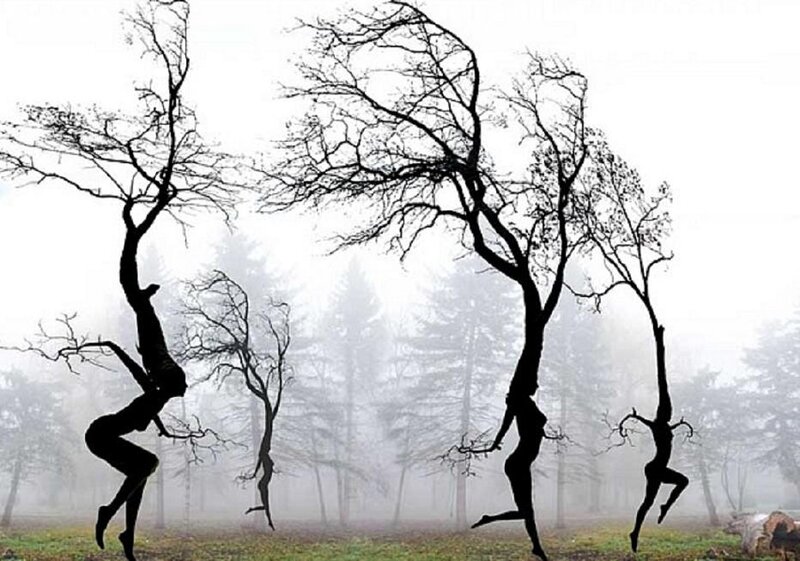 Silhouetted Dancers in Forest