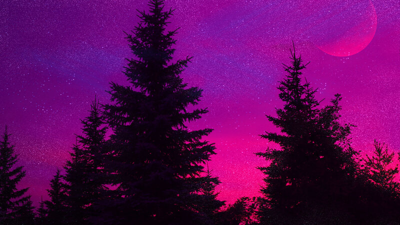 Silhouetted Evergreen Trees