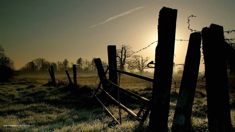 Silhouetted Fence in Field