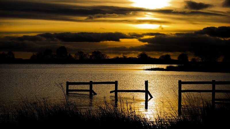 Silhouetted Fence in Water — Yellow, Dramatic