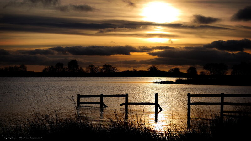 Silhouetted Fence in Water — Yellow