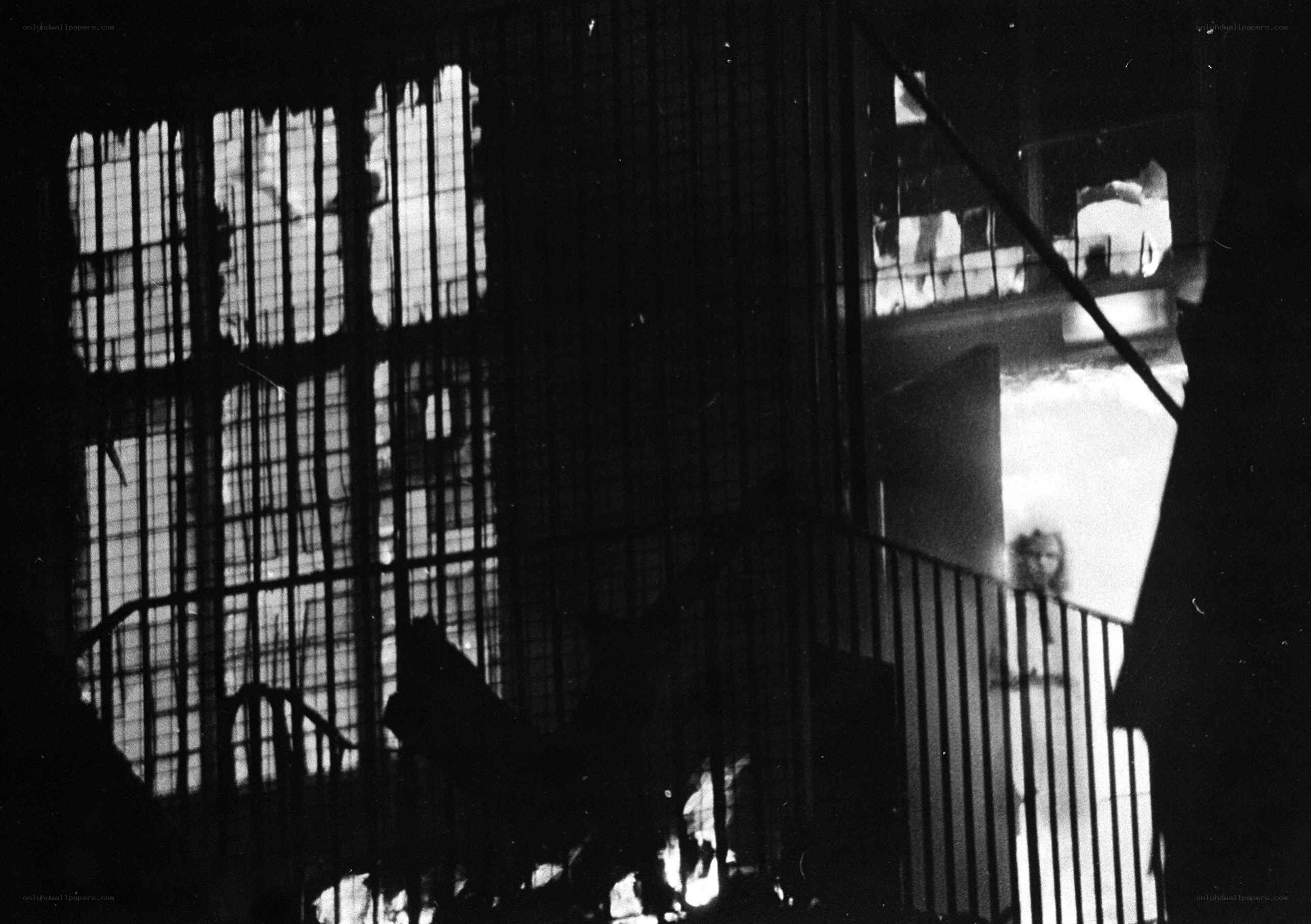 Silhouetted figures behind bars