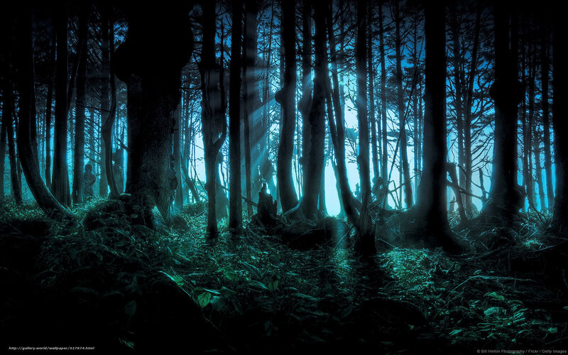 Silhouetted Figures in Forest — Blue, Mysterious, Night, Photograph