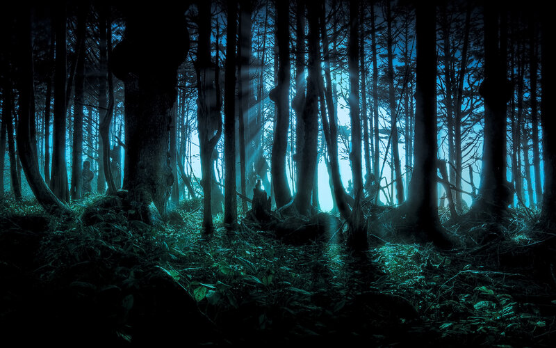 Silhouetted Figures in Forest — Blue, Mysterious, Night